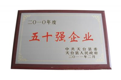 2010年五十強(qiáng)企業(yè)