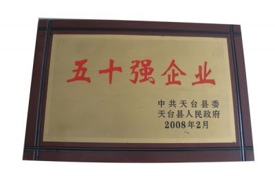 2008年五十強(qiáng)企業(yè)